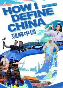 免费在线观看完整版国产剧《理解中国》