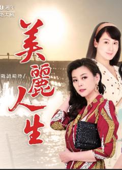 免费在线观看完整版台湾剧《美丽人生台版》