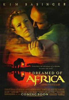 免费在线观看《梦游非洲》