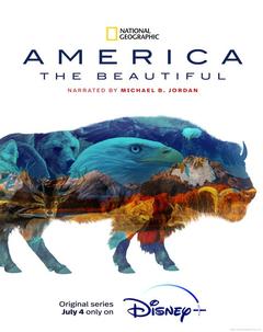 免费在线观看完整版欧美剧《美丽的美国》