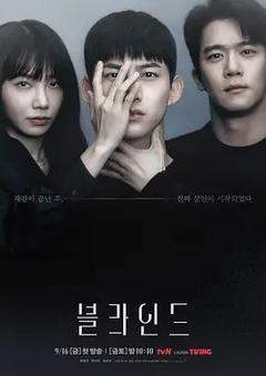 免费在线观看完整版韩国剧《Blind》