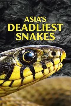 免费在线观看《Asias Deadliest Snakes 2011》