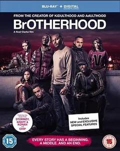 免费在线观看《Brotherhood》