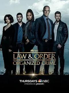 免费在线观看完整版欧美剧《法律与秩序：组织犯罪 第三季》