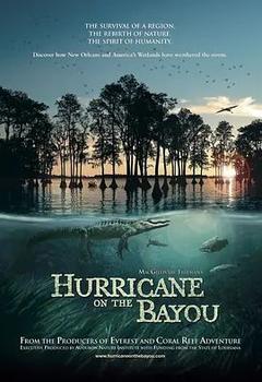 免费在线观看《海湾的飓风》