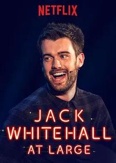 免费在线观看《Jack Whitehall: At Large 2017》