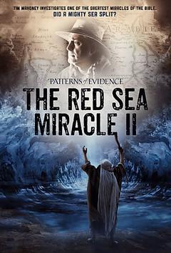 免费在线观看《Patterns of Evidence: The Red Sea Miracle II 2020》