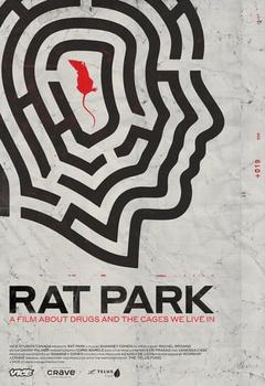 免费在线观看《Rat Park》