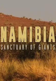 免费在线观看《Namibia, Sanctuary of Giants》