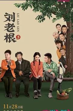 免费在线观看完整版国产剧《刘老根 第五季》