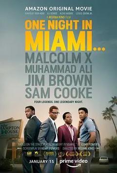 免费在线观看《迈阿密的一夜》