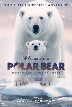 免费在线观看《北极熊 2022》