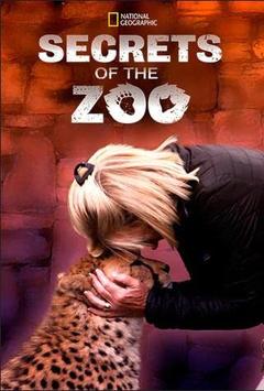 免费在线观看《动物园的秘密 第二季》
