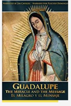 免费在线观看《Guadalupe The Miracle and the Message 2015》