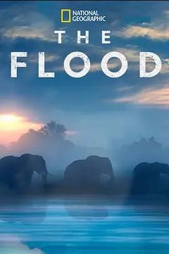 免费在线观看《The Flood》