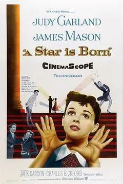 免费在线观看《一个明星的诞生 1954》