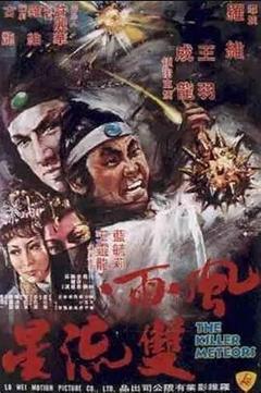 免费在线观看《风雨双流星 1976》