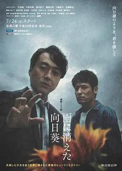 免费在线观看完整版日本剧《雨中消失的向日葵 2022》