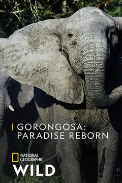 免费在线观看《Gorongosa Paradise Reborn 2022》