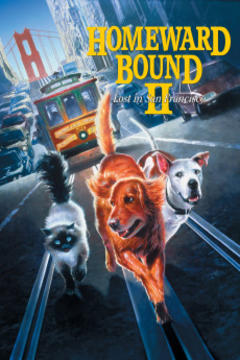 免费在线观看《猫狗也疯狂2：旧金山历险记》