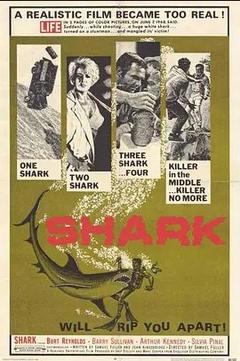 免费在线观看《鲨鱼 1969》