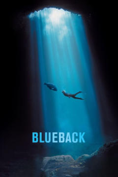 免费在线观看《蓝背鱼 2022》