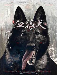 免费在线观看《血狼犬》