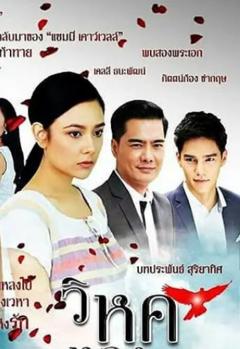 免费在线观看完整版泰国剧《迷恋鸟》