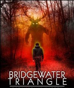 免费在线观看《Bridgewater Triangle_ Paranormal Vortex 2022》