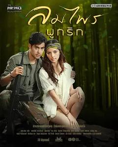 免费在线观看完整版泰国剧《亲爱的英雄之风森结合为爱》