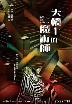 免费在线观看完整版台湾剧《天桥上的魔术师》