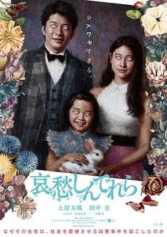 免费在线观看《哀愁灰姑娘 2021》