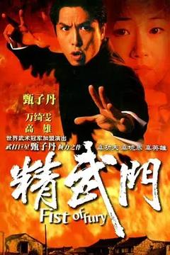 免费在线观看完整版香港剧《精武门 1995》