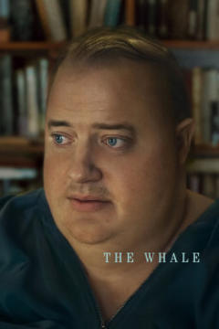 免费在线观看《鲸 2022》