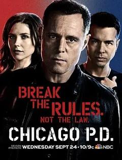 免费在线观看完整版欧美剧《芝加哥警署 第二季》