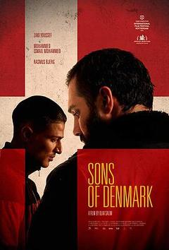 免费在线观看《丹麦之子》