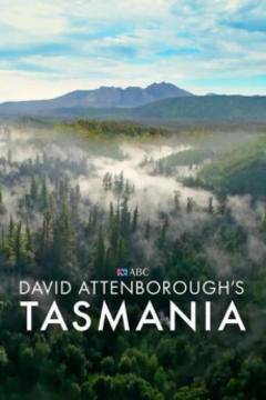 免费在线观看《David Attenboroughs Tasmania》