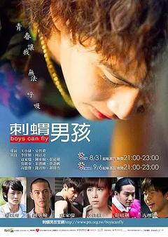 免费在线观看完整版台湾剧《刺猬男孩》