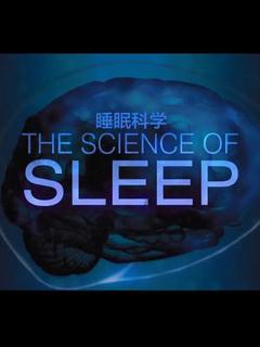 免费在线观看《睡眠的科学》