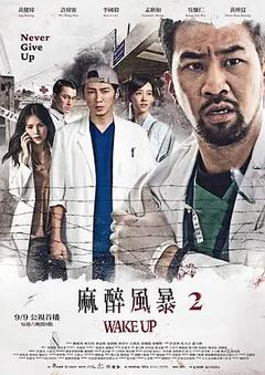 免费在线观看完整版台湾剧《麻醉风暴 第二季》