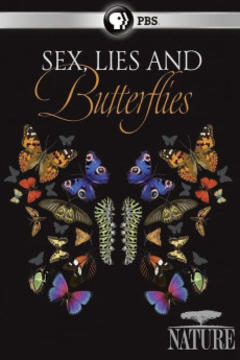 免费在线观看《Sex  Lies and Butterflies》