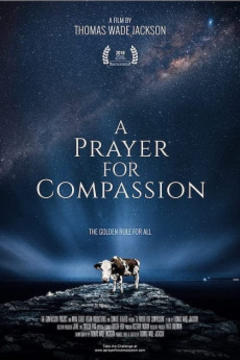 免费在线观看《A Prayer for Compassion》