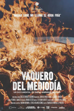 免费在线观看《Vaquero del mediodía》
