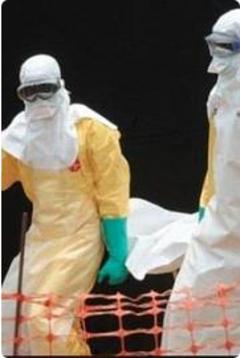 免费在线观看《寻找治愈埃博拉病毒的方法 2014》