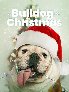 免费在线观看《A Bulldog for Christmas》