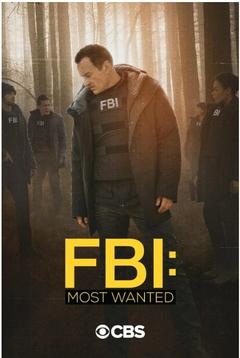 免费在线观看完整版欧美剧《联邦调查局：通缉要犯 第二季》