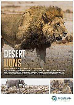 免费在线观看《Desert Lions》