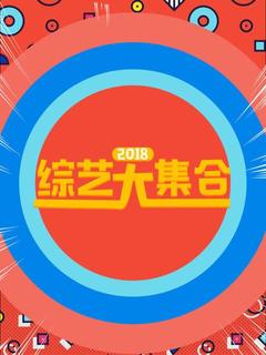 免费在线观看《综艺大合集 2018》