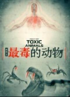 免费在线观看完整版欧美剧《世界上最毒的动物》