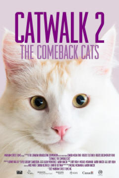 免费在线观看《Catwalk 2：The Comeback Cats 2022》